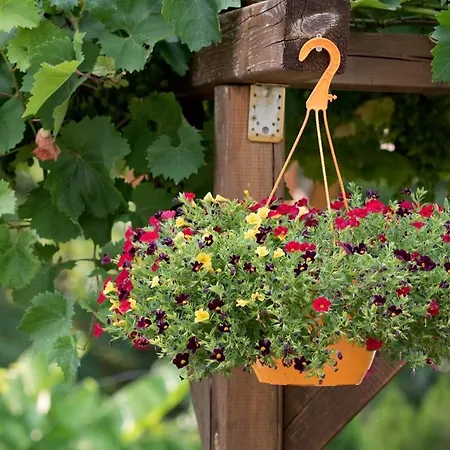 Krushunska Panorama Krushuna