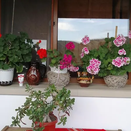 Guest house Krushunska Panorama *